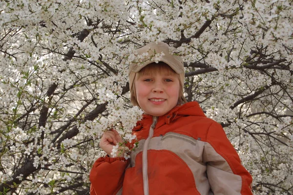 Portrét Chlapce Procházku Parku Jaře Pozadí Kvetoucího Bílého Stromu — Stock fotografie