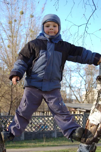 Ένα Παιδί Που Έπαιζε Στο Πάρκο Σκαρφάλωσε Ένα Ψηλό Δέντρο — Φωτογραφία Αρχείου