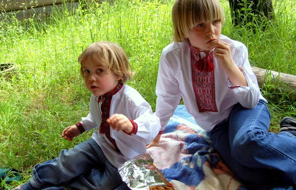 Porträtt Pojkar Bröder Ukrainska Broderade Skjortor Tillsammans Sommaren Naturen Semester — Stockfoto