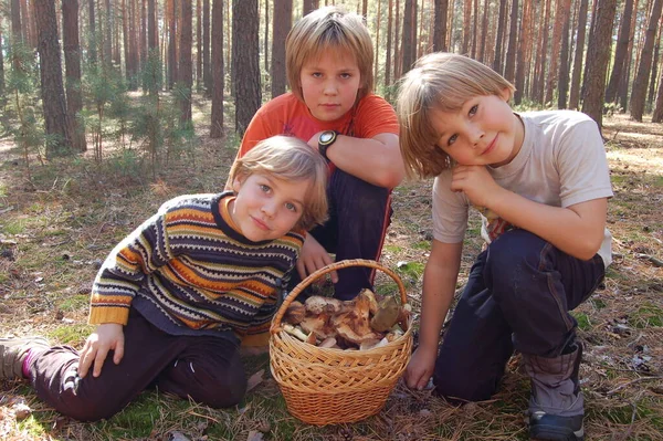 Діти Хлопчики Братами Ходять Разом Парку Лісі Кошиком Зібраних Грибів — стокове фото
