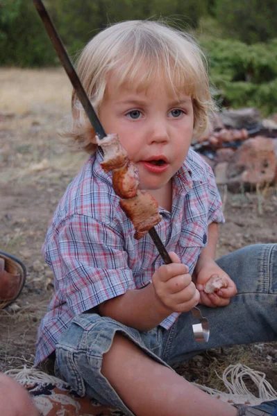 Маленький Хлопчик Пікніку Парку Їсть Ясо Барбекю — стокове фото