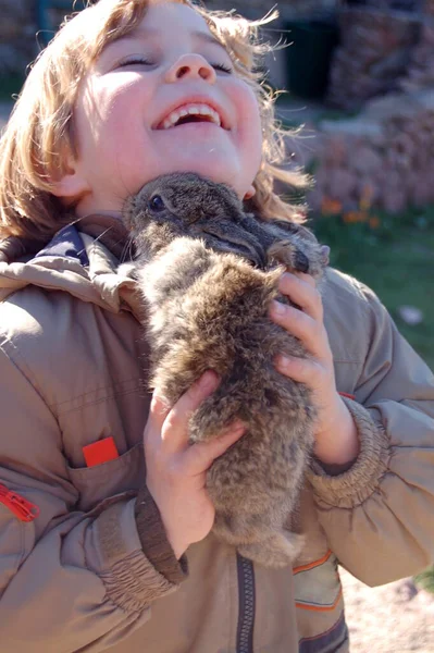 一个可爱的卷曲男孩的画像 他手里拿着一只兔子 — 图库照片