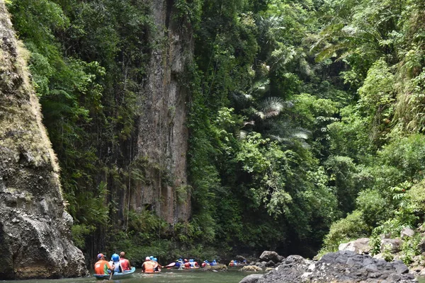 Manila Filipinleri 'ndeki derin ormanı çevreleyen temiz hava