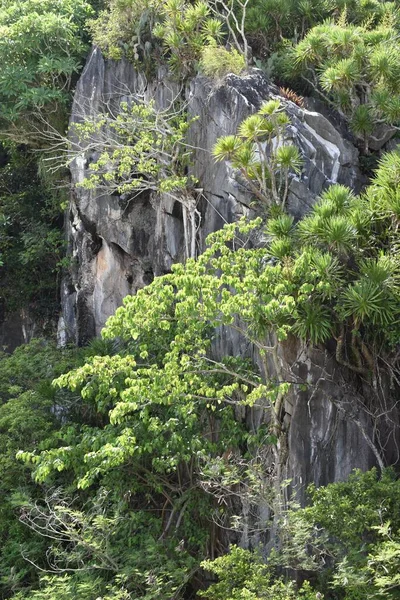 Гармоничное Сочетание Скалы Зелени Мраморной Горы Храма Дананге Вьетнам — стоковое фото