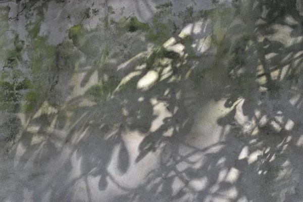 Da Nang Vietnam 'ın duvarındaki grafiti benzeri gölge tiyatrosu.