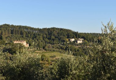 Tuscany İtalya 'nın güzel, huzurlu köy manzarası