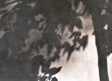 Da Nang Vietnam 'daki gölge tiyatro gibi bir şey.