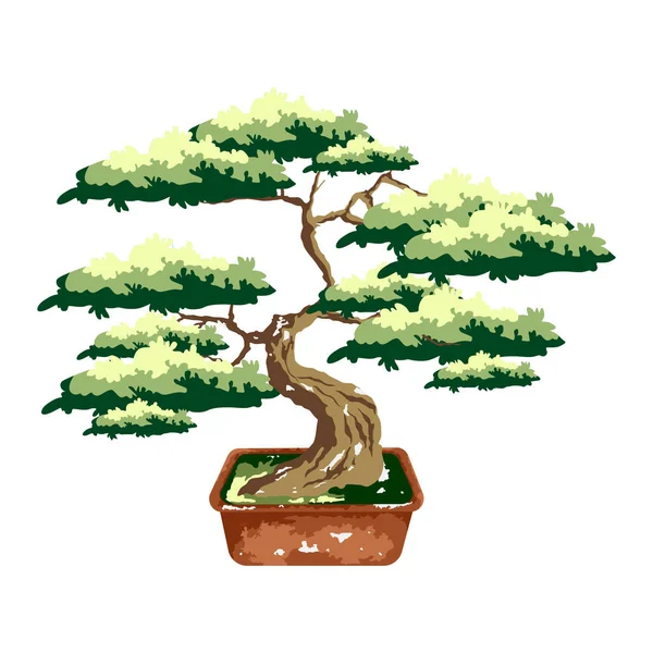 Bonsai Tree Pot Color Vector Flat Cartoon Illustration Isolated White — Stock Vector