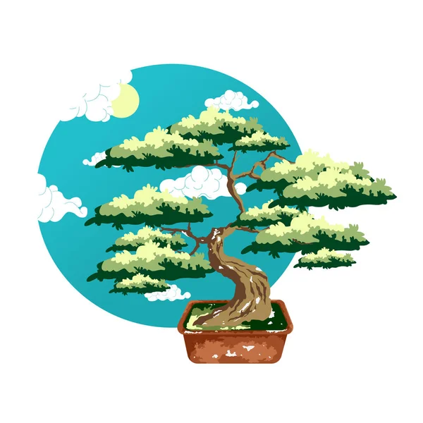 Bonsai ağacı saksıda. Renk vektörü düz çizgi film çizimi izole edildi