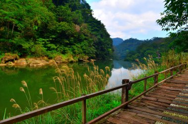 Güzel Göl ve Orman 'da bir yürüyüşe çık.