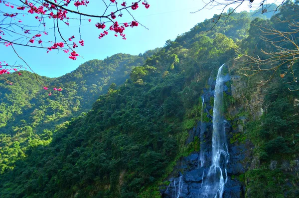 Majestic Waterfall Splash High Mountains Decorated Sakura Glimmer — Stock Photo, Image