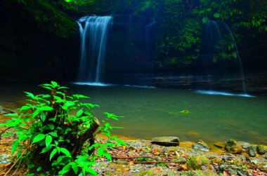 Güzel Şelale Çalıların Arkasında Kaya ve Su Gölü 'nden