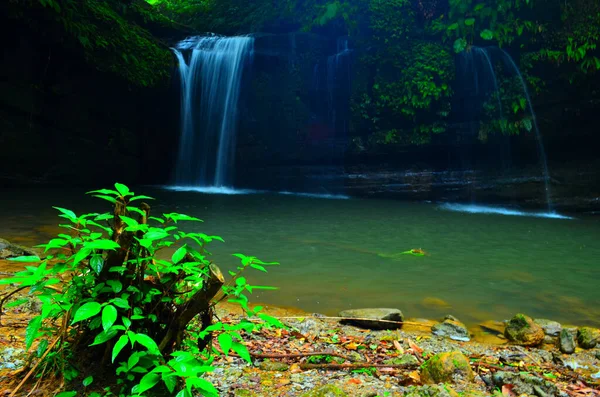 Hermosa Cascada Detrás Corriente Bush Desde Rock Splash Lago — Foto de Stock