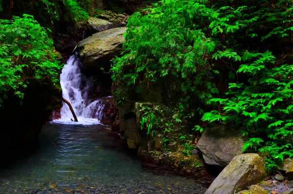 Stream Hiding Leaves Come Rock Splash River — Stock Photo, Image