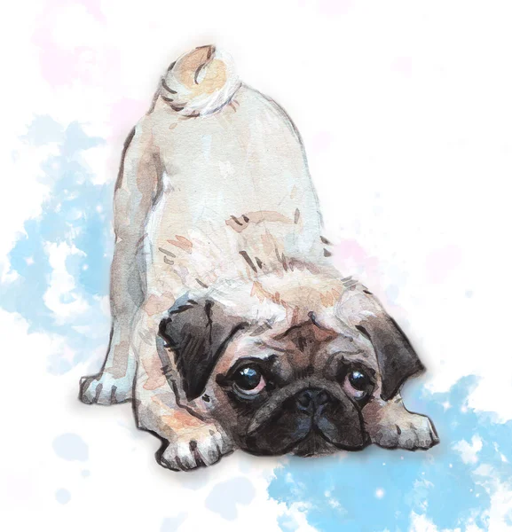 portrait watercolor dog pug