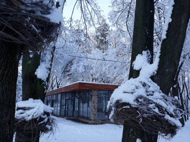  Parktaki kışlık kafe