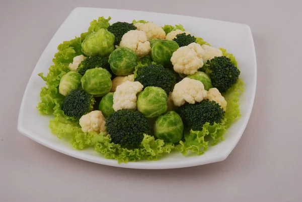 Set Delle Diverse Varietà Cavoli Cavolfiore Bruxelles Germogli Broccoli — Foto Stock