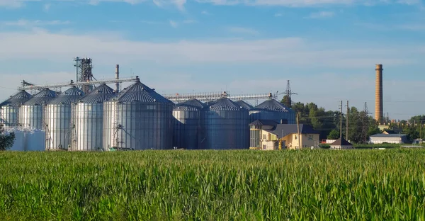 Granary, elevator - an industrial complex for storage, sorting. Agro-processing and manufacturing plant. Agricultural complex.