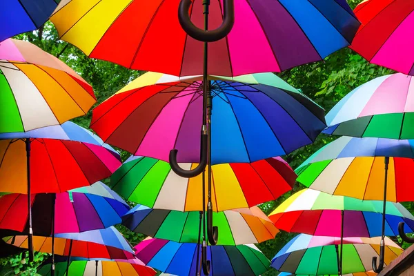 Park alley is decorated with multi-colored umbrellas. Canopy made of rainbow umbrellas.