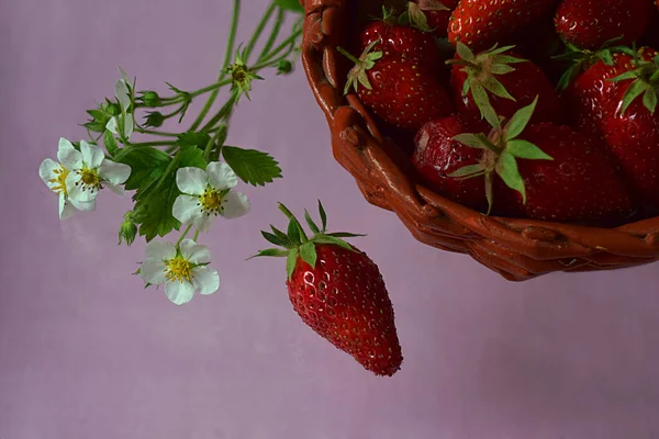 Ripe strawberries in a basket, strawberry leaves and flowers on a pink background.