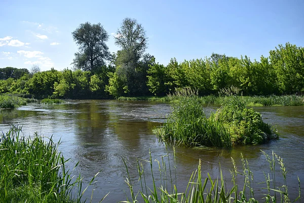 Krajina Řeka Tekoucí Lesem Rychlým Proudem Ostrůvkem — Stock fotografie