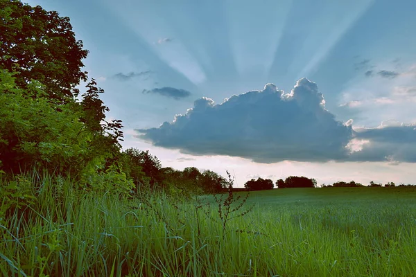 Landschaft Mit Weizenfeld Wolken Und Sonnenstrahlen — Stockfoto