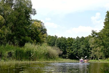 Ormanın ortasındaki düz nehir, nehir boyunca yüzen kanolar..