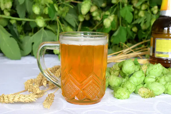 Mug Beer Spikelets Wheat Hops White Table Background Hops — Stock Photo, Image