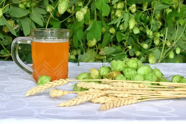 Mug Beer Spikelets Wheat Hops White Table Background Hops — Stock Photo, Image