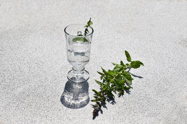 Bir bardak maden suyu ve nane şekeri ve bir tutam nane tomurcuğu..