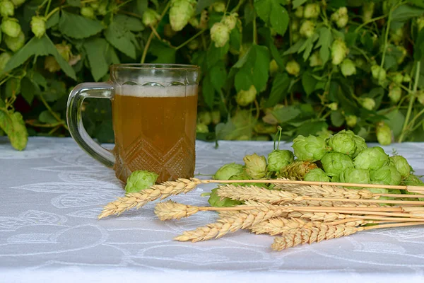 Uma Caneca Cerveja Espiguetas Trigo Lúpulo Uma Mesa Branca Contra — Fotografia de Stock