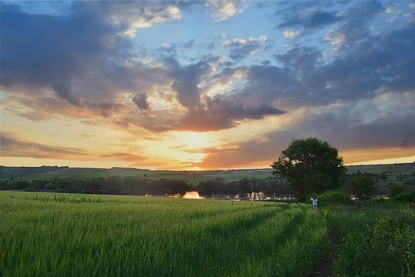 Paisaje Con Una Hermosa Puesta Sol Una Chica Distancia Toma — Foto de Stock