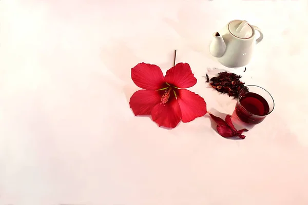 Vaso Caracal Una Flor Hibisco Rojo Sus Pétalos Una Tetera — Foto de Stock