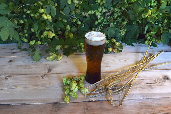 Bier Een Glas Spijkers Van Gerst Vruchten Van Hop Een — Stockfoto