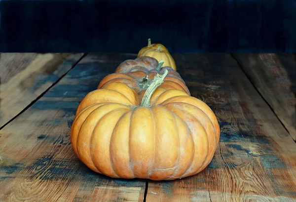 Three Pumpkins Ranging Size Small Medium Large — Stock Photo, Image