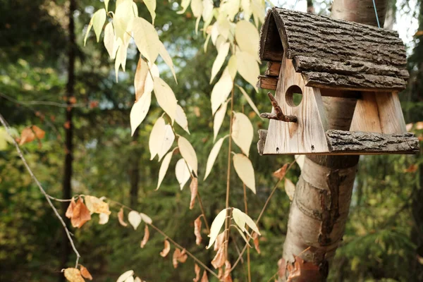 Birdhouse Dans Parc Concept Aide Nidification Des Oiseaux Protection Des — Photo