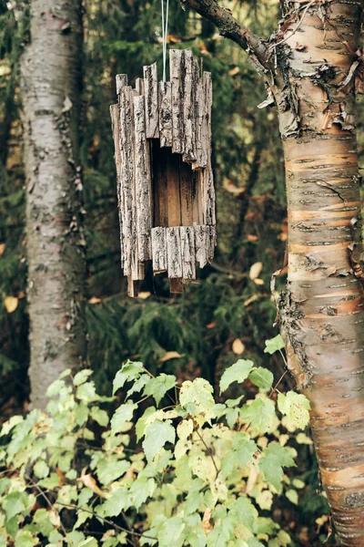 Birdhouse Parque Concepto Ayuda Para Anidar Aves Protección Animal —  Fotos de Stock