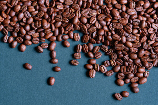 Roasted and aromatic Coffee beans on menthe blue colored surface as background. Top view with and copy space for text. Macro photo of fresh arabica coffee beens.