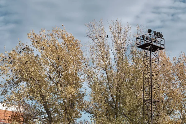 Металлическая Смотровая Башня Промышленной Зоне Желтые Осенние Деревья Заднем Плане — стоковое фото