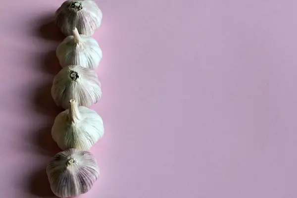 Close Group Fresh Garlic Bulbs Pink Background Row Copy Space — Stock Photo, Image