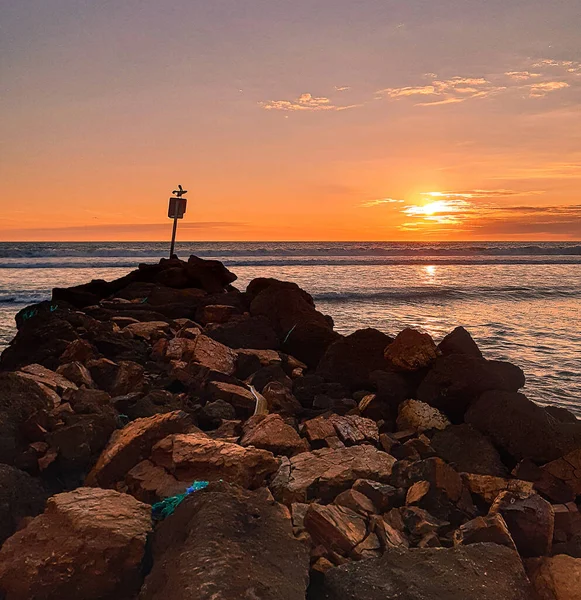 Landscape Photography Body Water Silhouette Birds Sunset — Stock Photo, Image