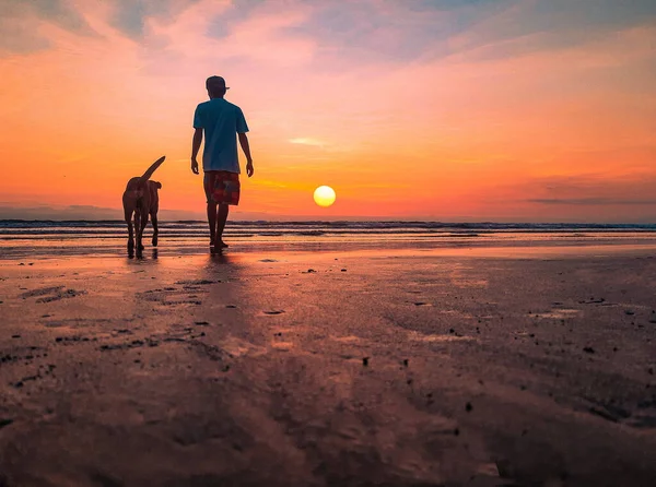 Silueta Del Hombre Paseando Por Playa Del Atardecer Con Perro — Foto de Stock