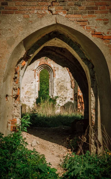 Antique arched window overlooking green trees