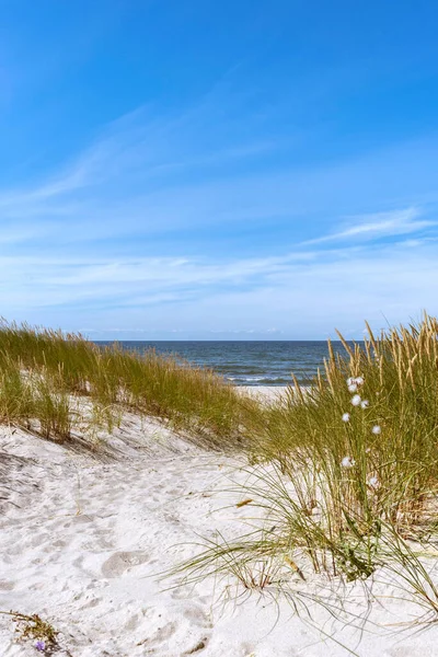 Piaszczysta Ścieżka Przez Wydmy Prowadzące Plażę Piaszczysta Plaża Morze Bałtyckie — Zdjęcie stockowe