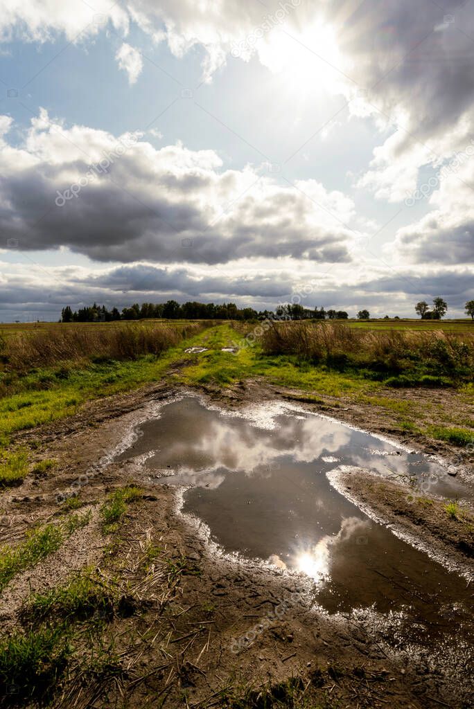 The sun's rays and clouds are reflected in the puddle water, a country road goes into the distance