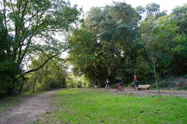 三个骑自行车的人沿着Vaugrenier公园的小径骑着自行车 后面跟着一个背着孩子的男人 — 图库照片
