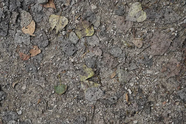 Batu Kerikil Kecil Stok Foto Batu Kerikil Kecil Gambar Bebas Royalti Halaman 12 Depositphotos