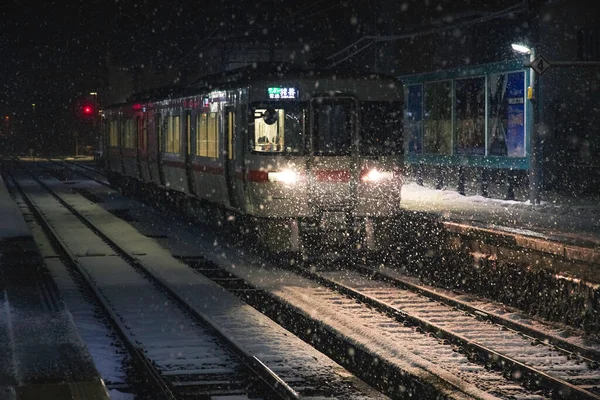 Прекрасный Снежный Момент Запечатленный Токио Япония — стоковое фото