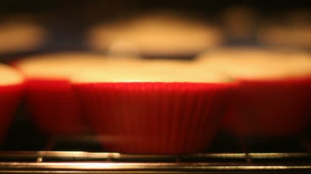 オーブンクローズアップでカップケーキマフィンベーキング タイムラプスビデオで焼かれたマグデレーヌ — ストック動画