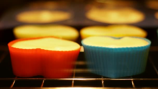 Cupcake Muffin Bakning Ugnen Närbild Magdeleines Bakat Tidsfördröjning Video — Stockvideo